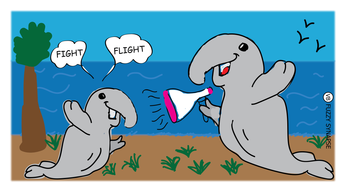 Elephant seal illustration